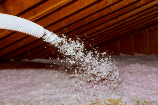 Best Insulation Maintenance and Repair in Chaska, MN