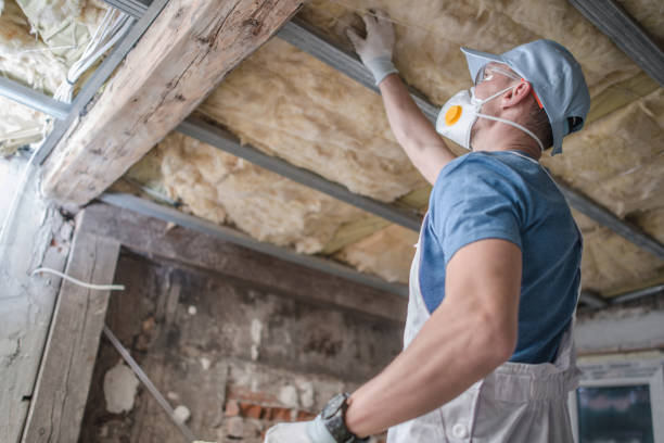 Best Insulation Maintenance and Repair in Chaska, MN